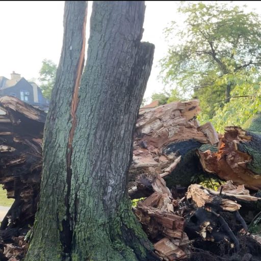 Working at Northwestern&nbsp;University