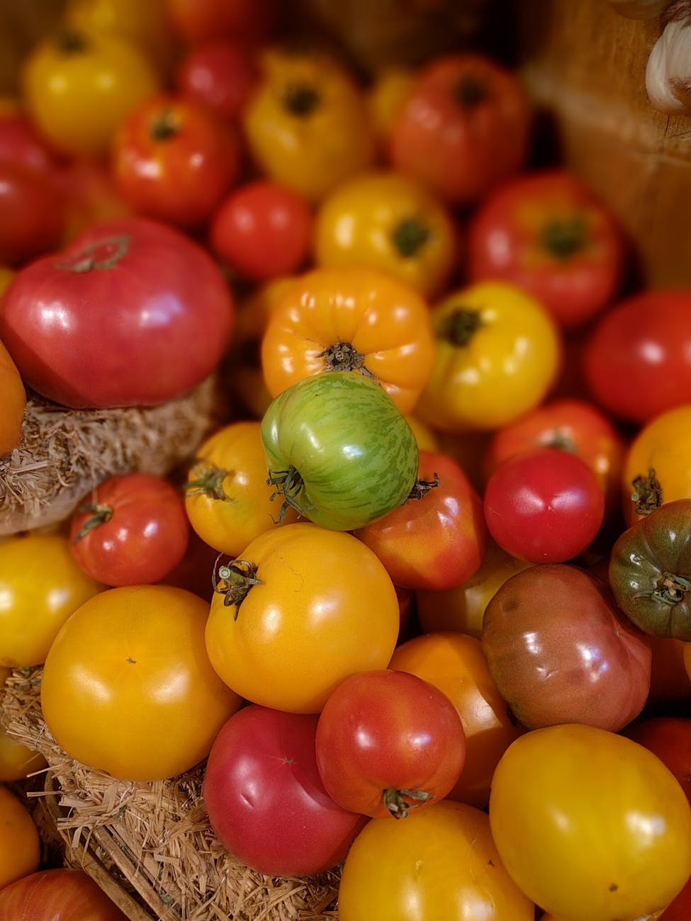 Unlocking Cancer Protection: Lycopene Benefits from&nbsp;Tomatoes